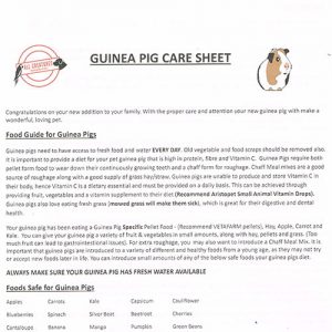 Care Sheets - All Creatures Warehouse