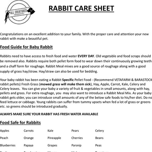 Rabbit Supplies Melbourne